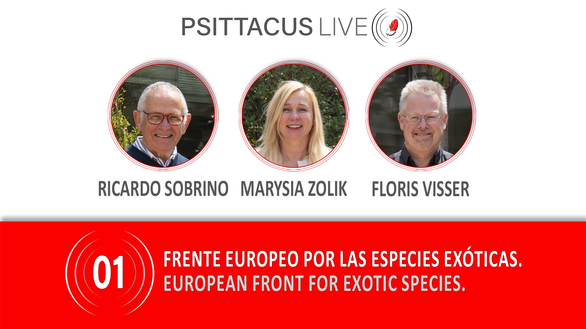 La Fundación Psittacus activa PSITTACUS LIVE