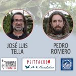Expedición científica en la R. D. Congo: Retos para la supervivencia del loro gris de cola roja