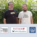 Scientific Expedition to Equatorial Guinea: Population Status of the Grey Parrot